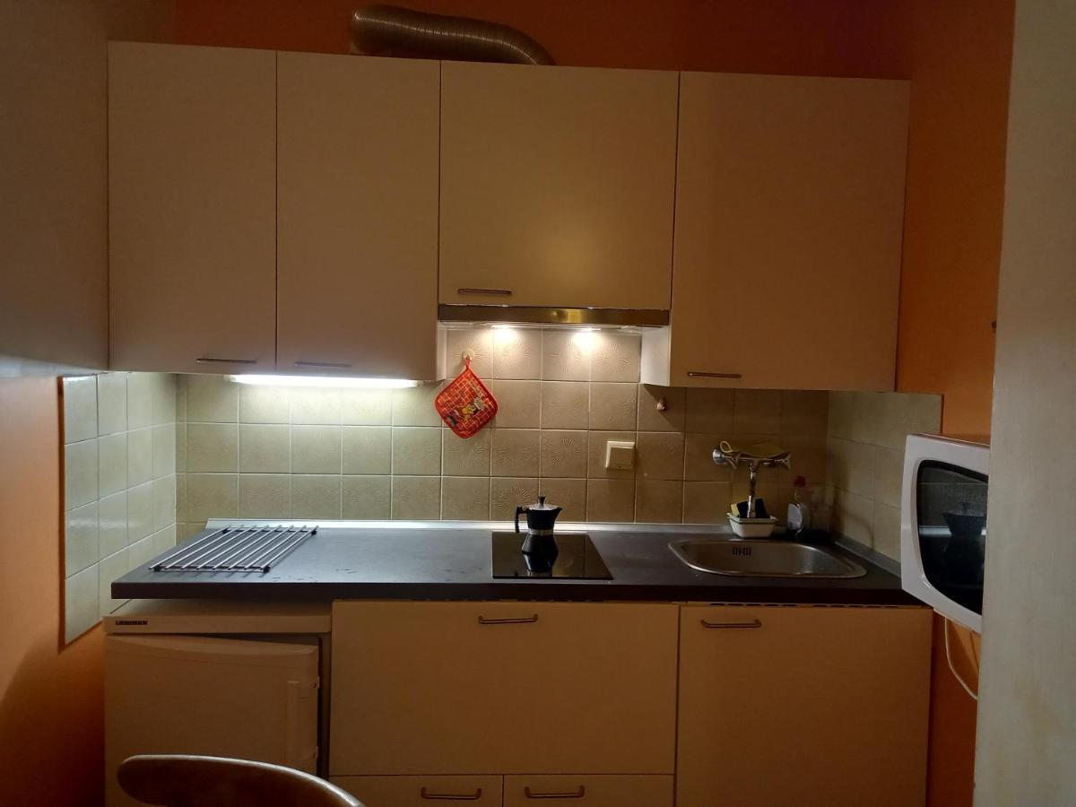 Panoramis In Appartement Schladming