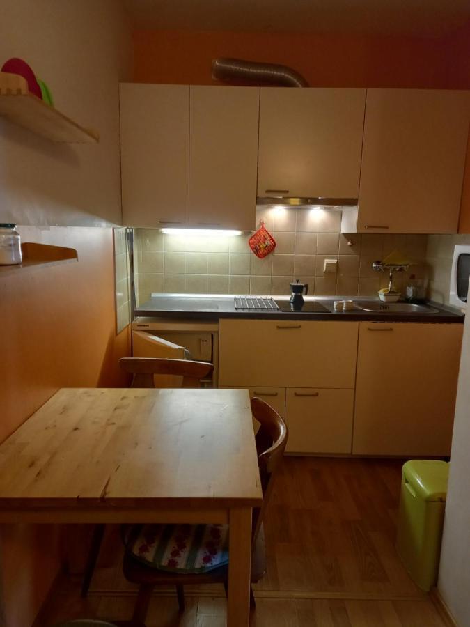 Panoramis In Appartement Schladming