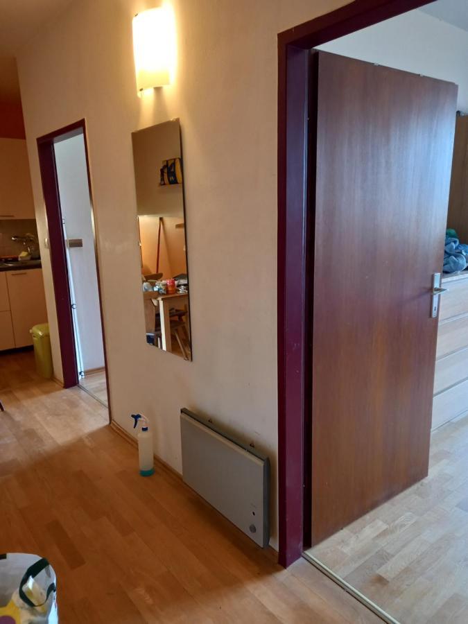Panoramis In Appartement Schladming